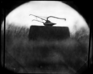 Image description is not available for BK-356-003